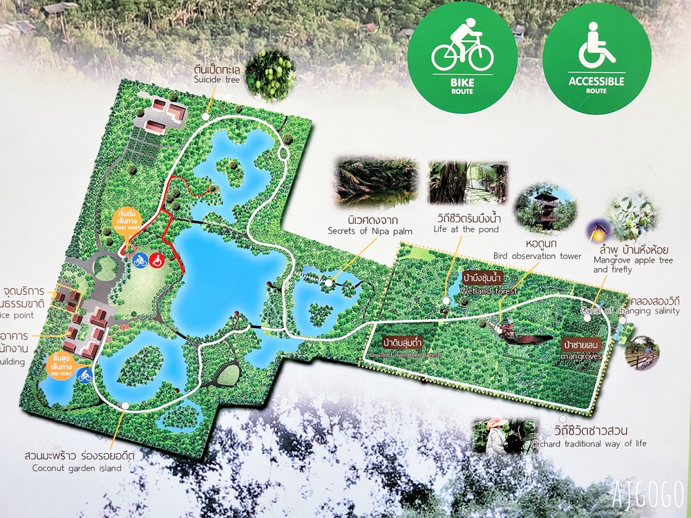 2026泰國旅遊 曼谷詩琳通公園 曼谷綠肺的腳踏車之旅 曼谷自由行