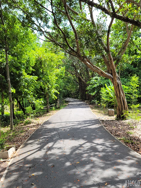 2026泰國旅遊 曼谷詩琳通公園 曼谷綠肺的腳踏車之旅 曼谷自由行