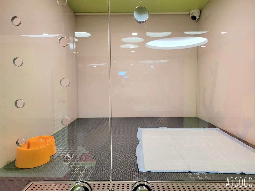 2026嘉義住宿 新悅花園酒店 嘉義親子飯店 早餐、兒童遊戲設施多、寵物友善 嘉義飯店 2026嘉義住宿 新悅花園酒店 嘉義親子飯店 早餐、兒童遊戲設施多、寵物友善 嘉義飯店