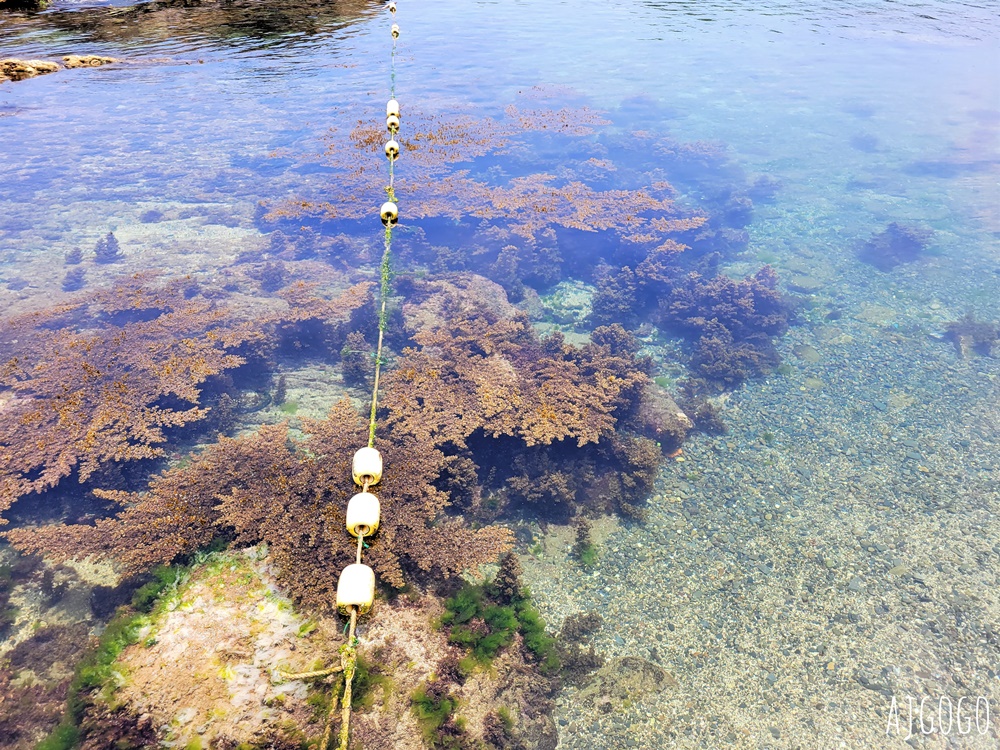 東北角景點 龍洞灣海洋公園 東北角海水浴場 浮淺、水肺潛水、海洋獨木舟都能玩