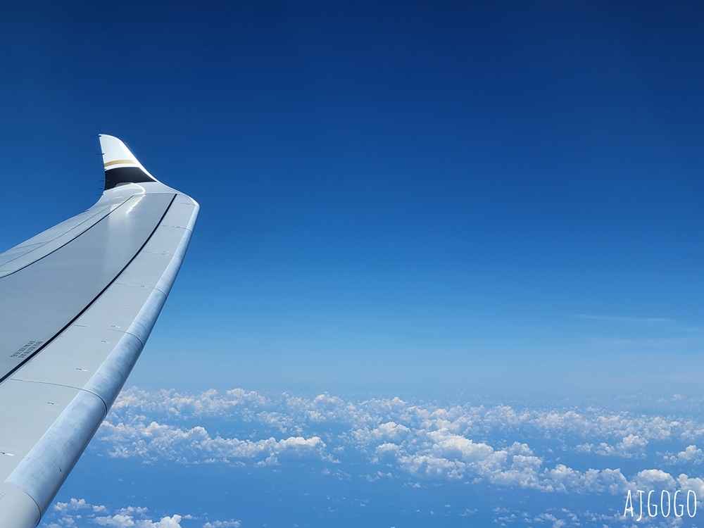 星宇航空 桃園-曼谷機票 A330經濟艙飛機餐、星宇特調 開箱JX741