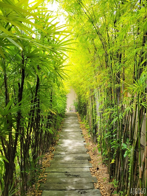 2026曼谷自由行 Divana Nurture Spa 曼谷最佳六大泰式按摩 貴婦精品按摩會館