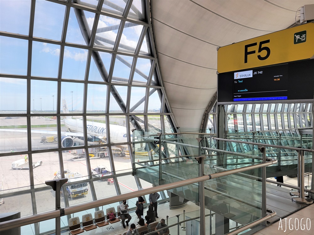 星宇航空 曼谷BKK-桃園TPE A330經濟艙飛機餐 開箱JX742