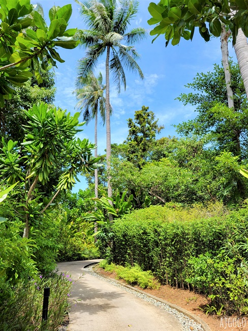 普吉島住宿 島嶼逃逸布拉薩里 普吉椰子島放空旅行 免費接駁船與交通 普吉島旅遊
