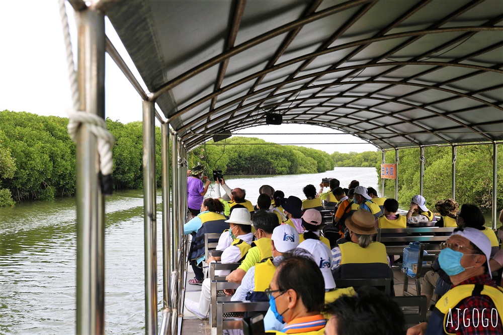 台南景點 台江漁樂園 台灣版亞馬遜河 搭船遊台江近距離看紅樹林