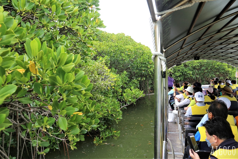 台南景點 台江漁樂園 台灣版亞馬遜河 搭船遊台江近距離看紅樹林