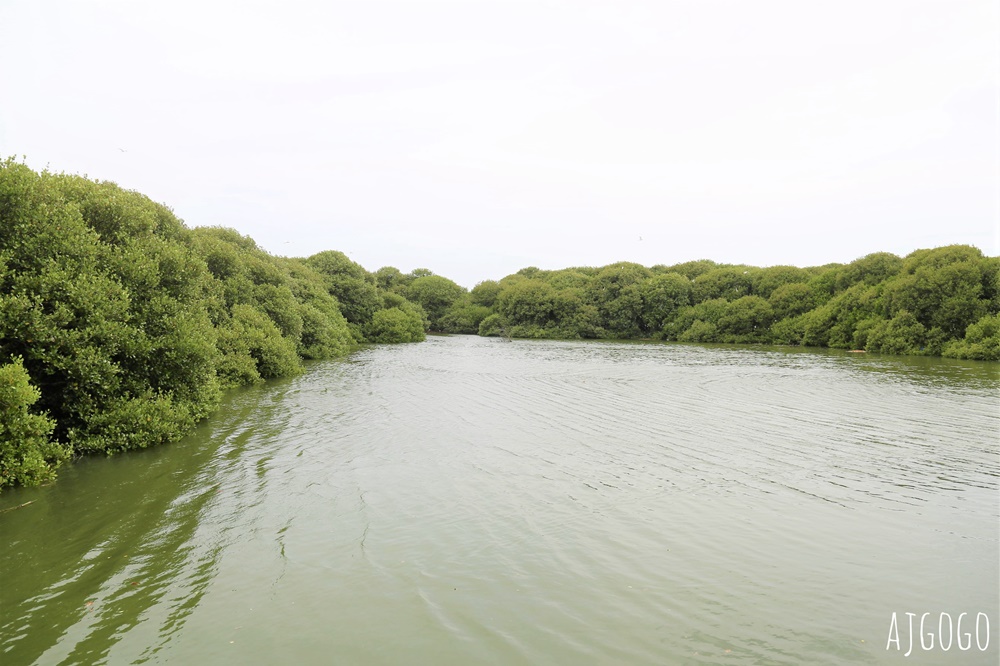 台南景點 台江漁樂園 台灣版亞馬遜河 搭船遊台江近距離看紅樹林