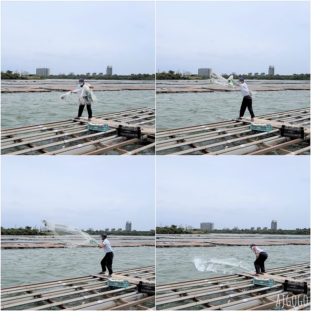 台南景點 台江漁樂園 台灣版亞馬遜河 搭船遊台江近距離看紅樹林