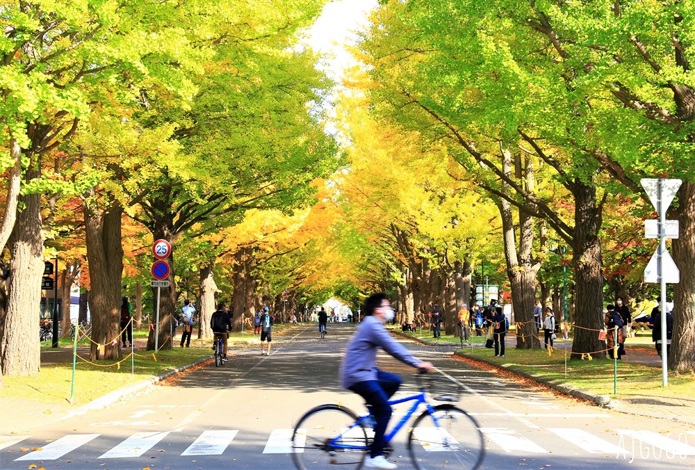 台灣虎航 台北桃園-札幌 北海道旅遊 全新A320neo帶你飛 開箱IT234、IT235 北海道機票