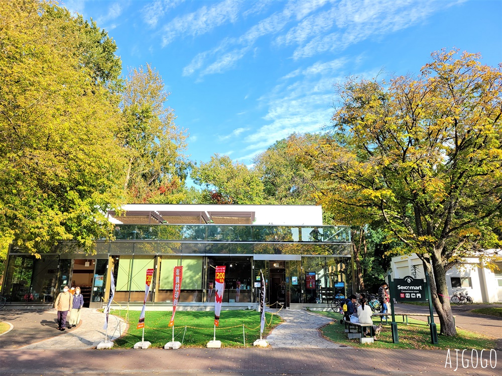 北海道旅遊 北海道大學銀杏大道 每年10月底、11月初變身為金黃大道