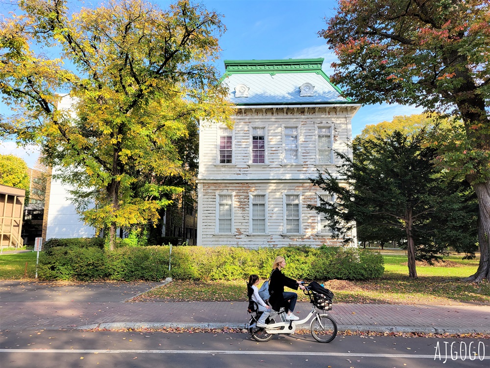 北海道旅遊 北海道大學銀杏大道 每年10月底、11月初變身為金黃大道