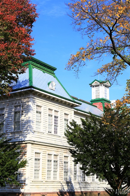 北海道旅遊 北海道大學銀杏大道 每年10月底、11月初變身為金黃大道