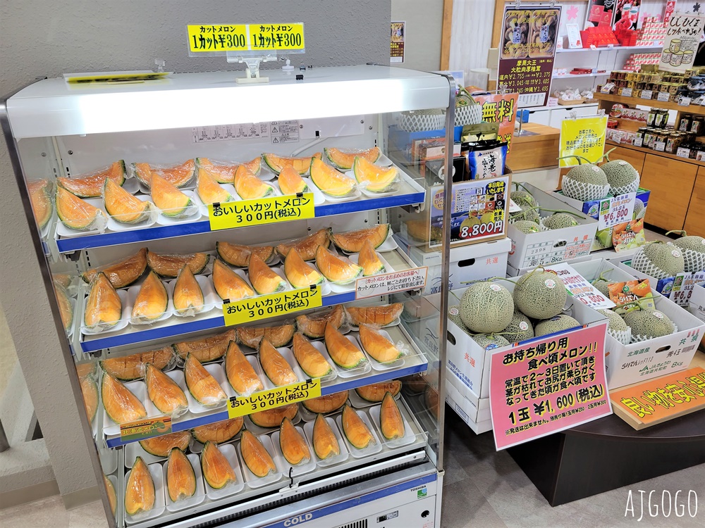 北海道旅遊 摩周湖 摩周第一展望台 北海道神秘之湖 愛奴人口中的山神之湖 北海道自由行