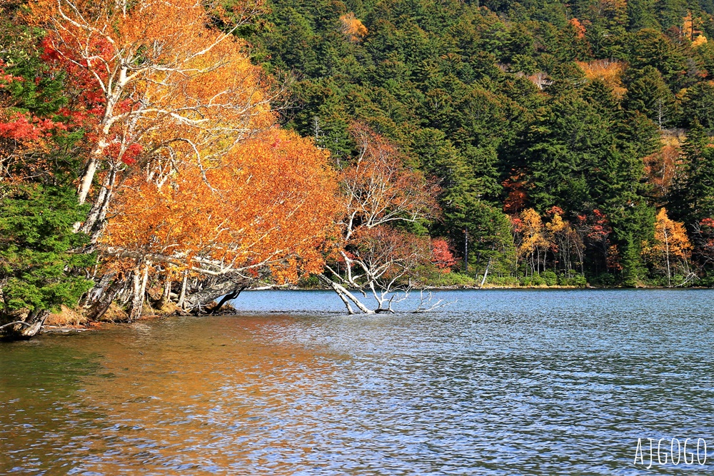 北海道景點 足寄五色湖、遠內多湖 北海道三大秘湖之一 僅春、夏、秋季開放秘境景點 北海道旅遊推薦