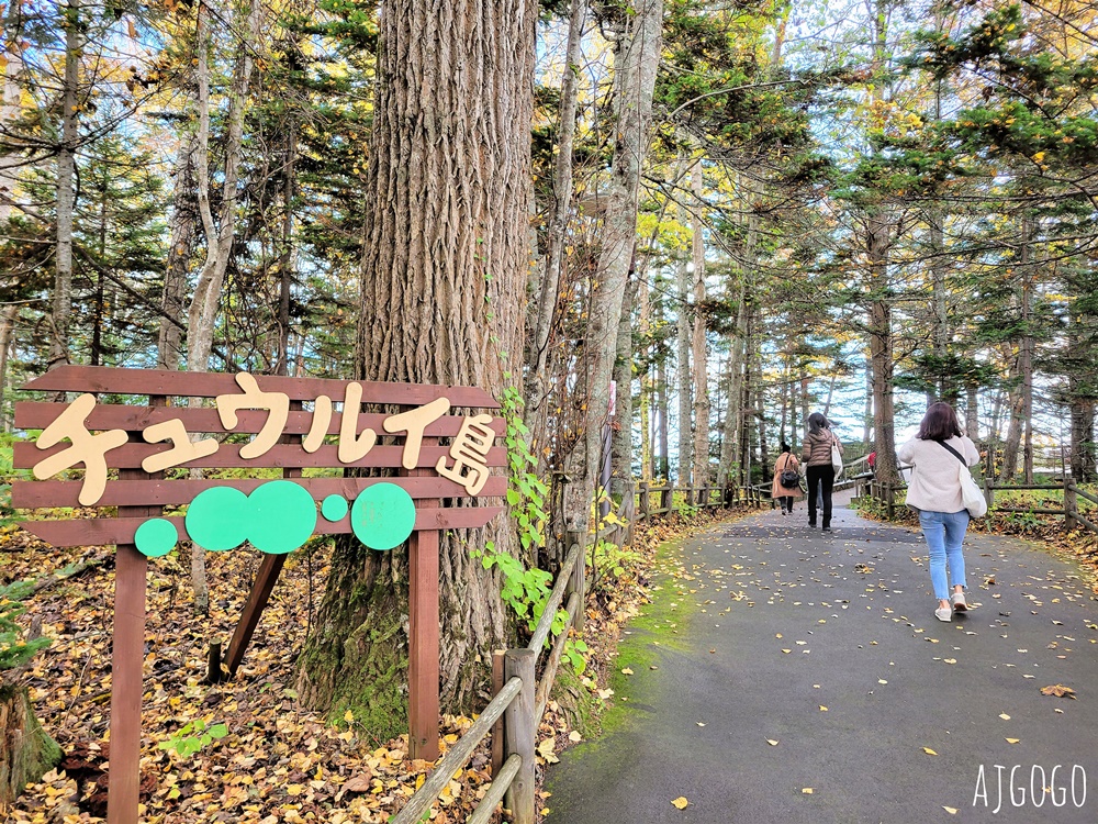 2026北海道旅遊 阿寒湖蒸氣遊船之旅 秋天阿寒湖 綠球藻研究中心 2026北海道旅遊 阿寒湖蒸氣遊船之旅 秋天阿寒湖 綠球藻研究中心