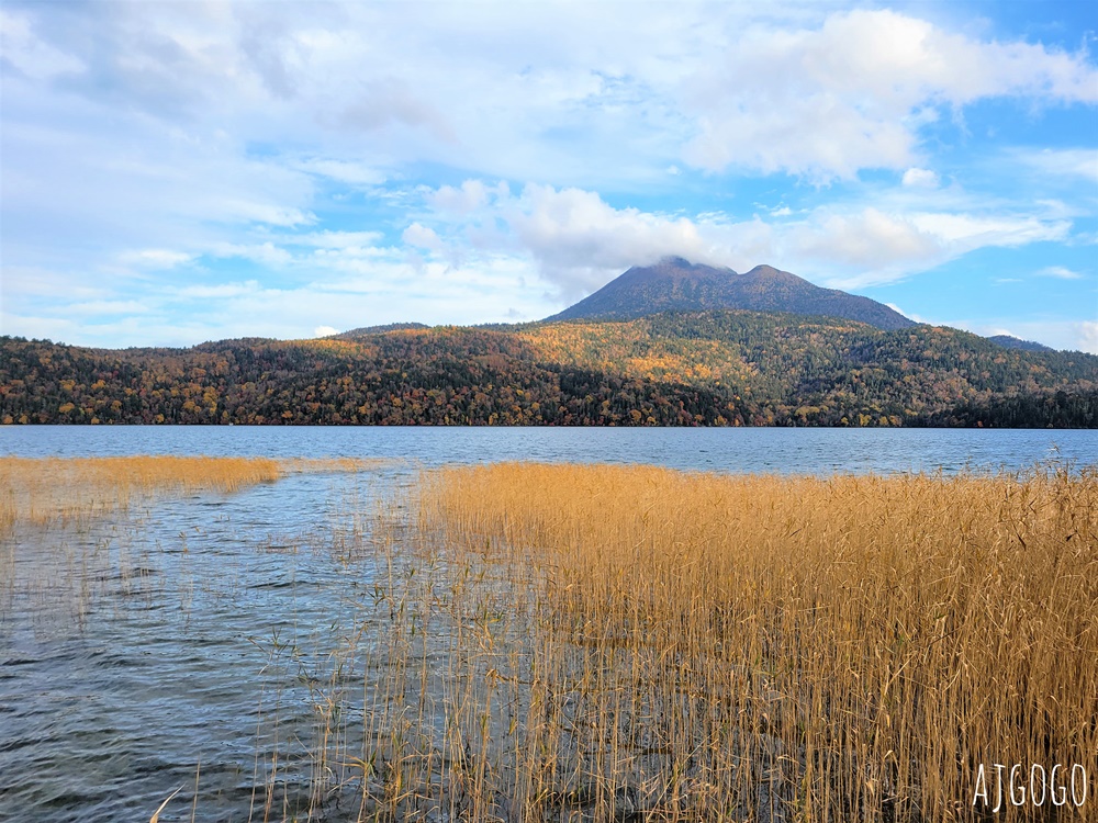 2026北海道旅遊 阿寒湖蒸氣遊船之旅 秋天阿寒湖 綠球藻研究中心 2026北海道旅遊 阿寒湖蒸氣遊船之旅 秋天阿寒湖 綠球藻研究中心