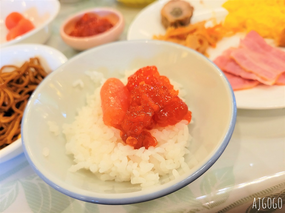 2026北海道旅遊 十勝川大平原溫泉飯店 有熱氣球的飯店 日式客房 一泊二食 早餐、晚餐