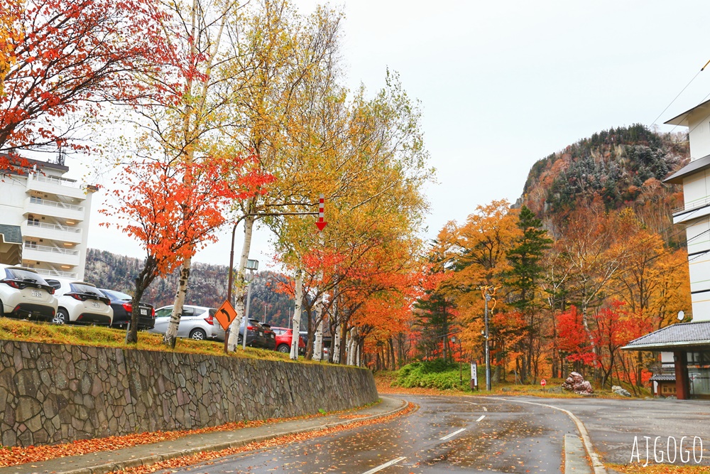 2026北海道旅遊 層雲峽溫泉 大雪飯店 日式客房一泊二食 2026北海道旅遊 層雲峽溫泉 大雪飯店 日式客房一泊二食