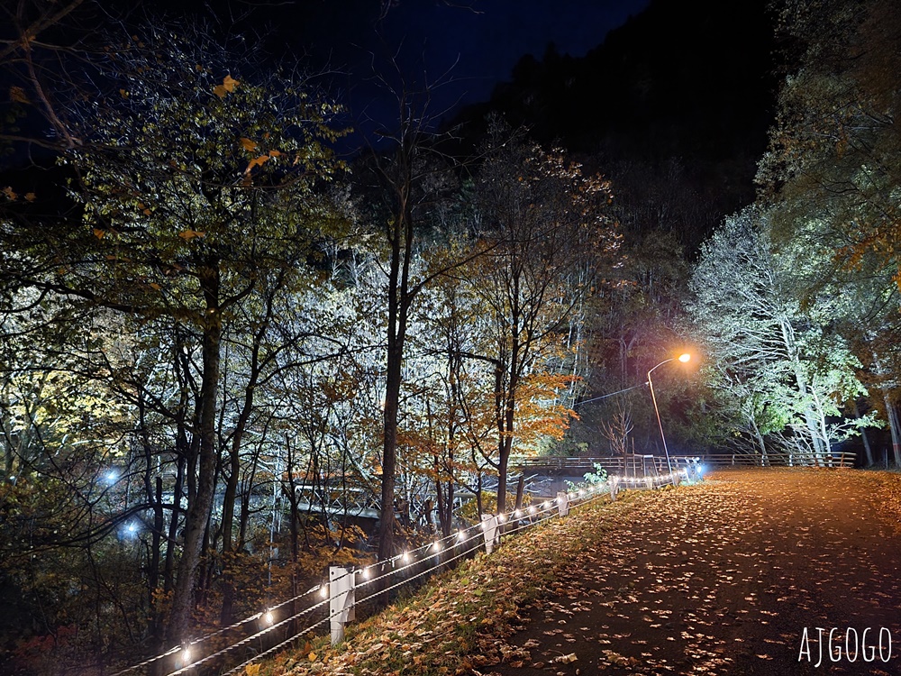 2026北海道旅遊 層雲峽溫泉 大雪飯店 日式客房一泊二食