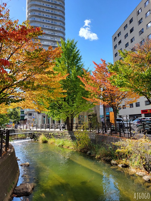 2026札幌住宿 東急札幌卓越大飯店 札幌飯店推薦 標準雙人房、早餐 北海道旅遊