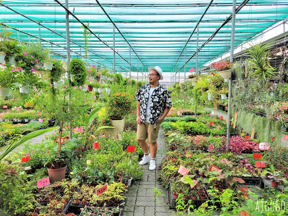 屏東景點 常菁花園 屏東萬丹買花、買盆栽、龜背芋的好地方 @AJ的旅行地圖