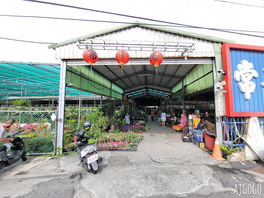 屏東景點 常菁花園 屏東萬丹買花、買盆栽、龜背芋的好地方
