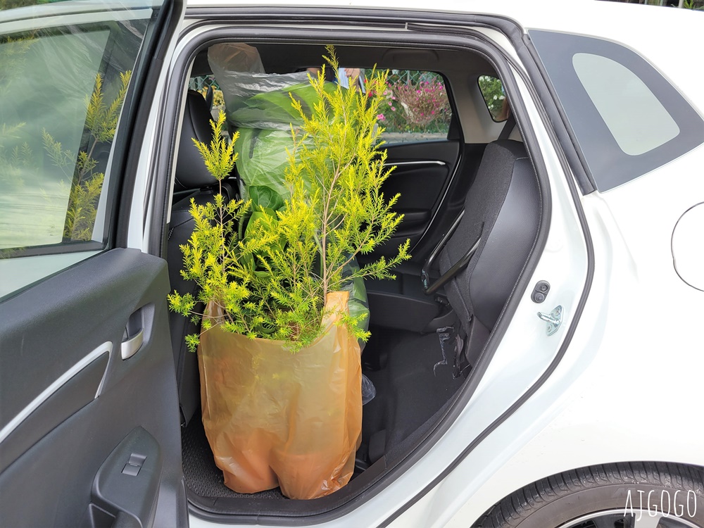 屏東景點 常菁花園 屏東萬丹買花、買盆栽、龜背芋的好地方
