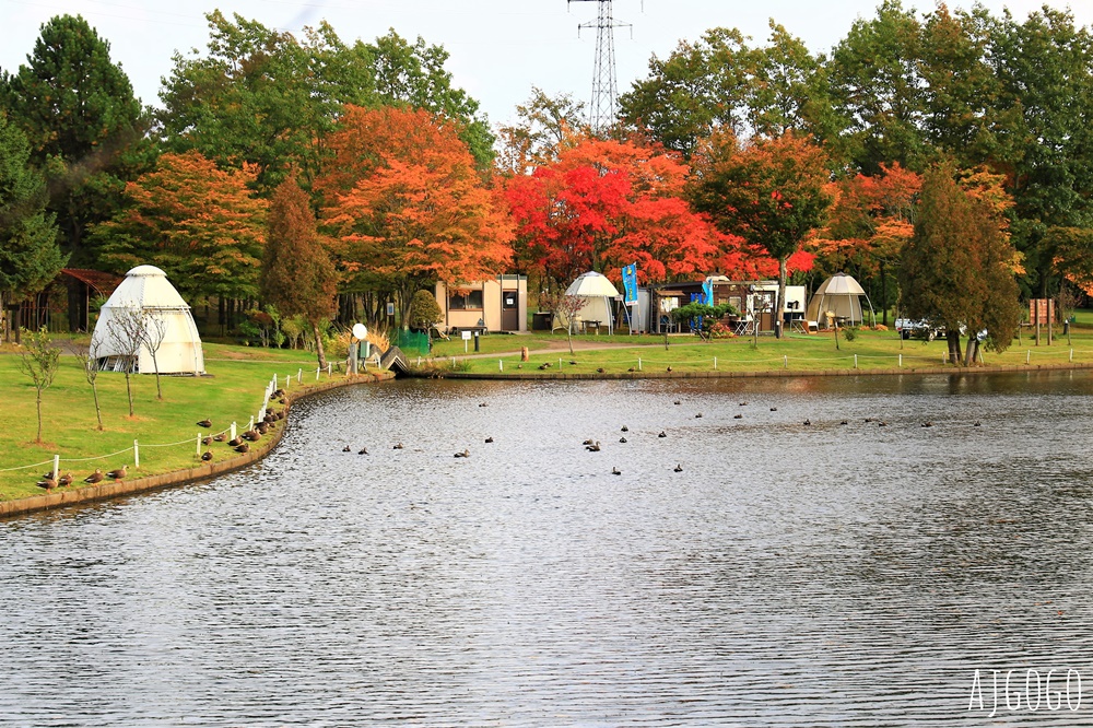2026北海道旅遊 札幌啤酒北海道工廠 成吉思汗烤肉吃到飽、啤酒喝到飽 免費工廠導覽 2026北海道旅遊 札幌啤酒北海道工廠 成吉思汗烤肉吃到飽、啤酒喝到飽 免費工廠導覽