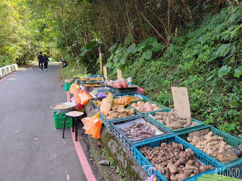 三峽景點 滿月圓國家森林遊樂區 好走的親子森林步道 沿著溪谷找大瀑布 三峽景點 滿月圓國家森林遊樂區 好走的親子森林步道 沿著溪谷找大瀑布