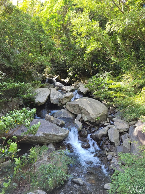 三峽景點 滿月圓國家森林遊樂區 好走的親子森林步道 沿著溪谷找大瀑布