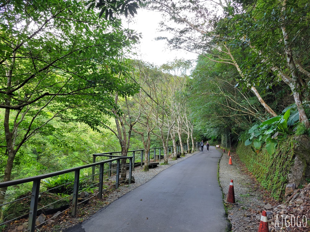 三峽景點 滿月圓國家森林遊樂區 好走的親子森林步道 沿著溪谷找大瀑布