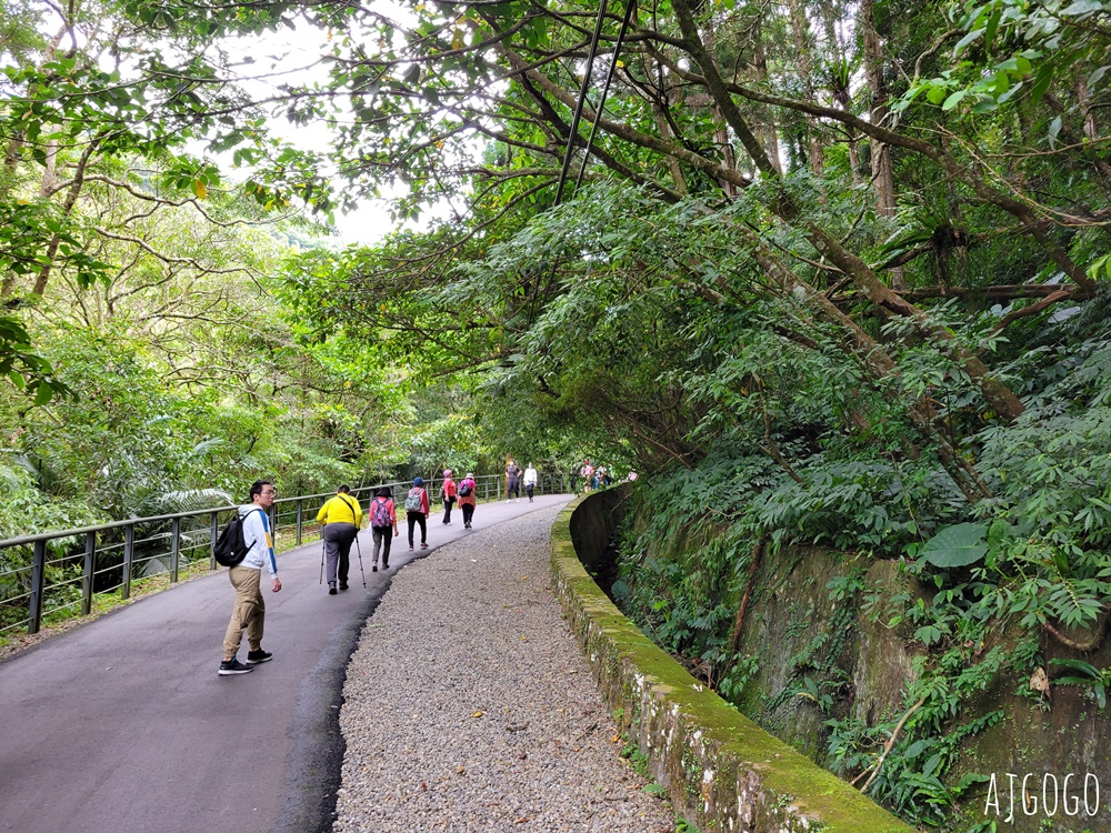 三峽景點 滿月圓國家森林遊樂區 好走的親子森林步道 沿著溪谷找大瀑布 三峽景點 滿月圓國家森林遊樂區 好走的親子森林步道 沿著溪谷找大瀑布