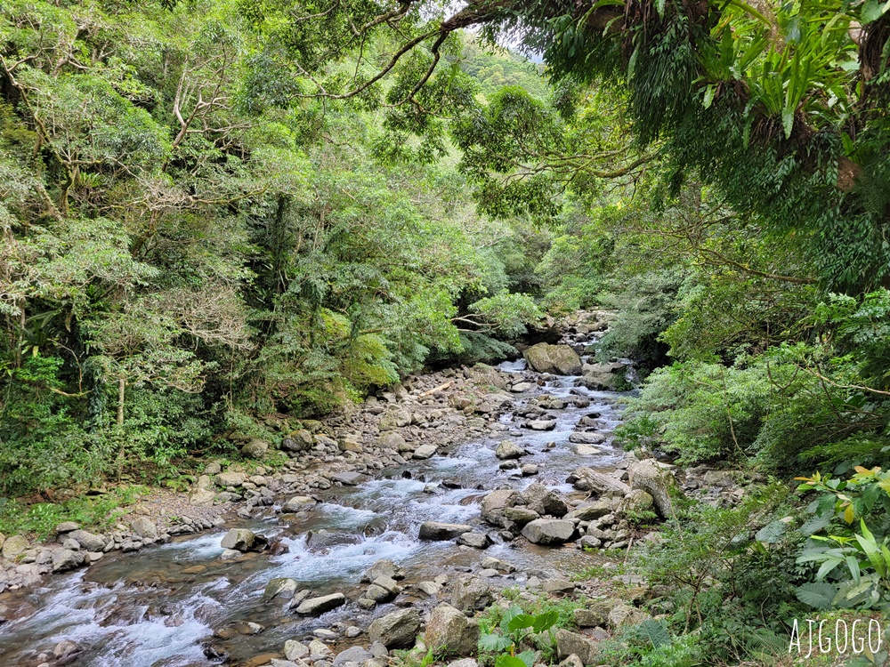 三峽景點 滿月圓國家森林遊樂區 好走的親子森林步道 沿著溪谷找大瀑布