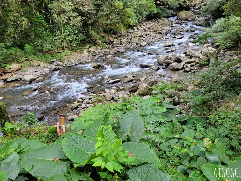 三峽景點 滿月圓國家森林遊樂區 好走的親子森林步道 沿著溪谷找大瀑布 三峽景點 滿月圓國家森林遊樂區 好走的親子森林步道 沿著溪谷找大瀑布