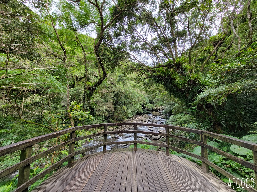 三峽景點 滿月圓國家森林遊樂區 好走的親子森林步道 沿著溪谷找大瀑布