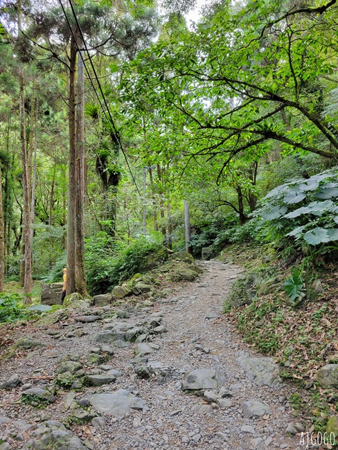 三峽景點 滿月圓國家森林遊樂區 好走的親子森林步道 沿著溪谷找大瀑布 三峽景點 滿月圓國家森林遊樂區 好走的親子森林步道 沿著溪谷找大瀑布