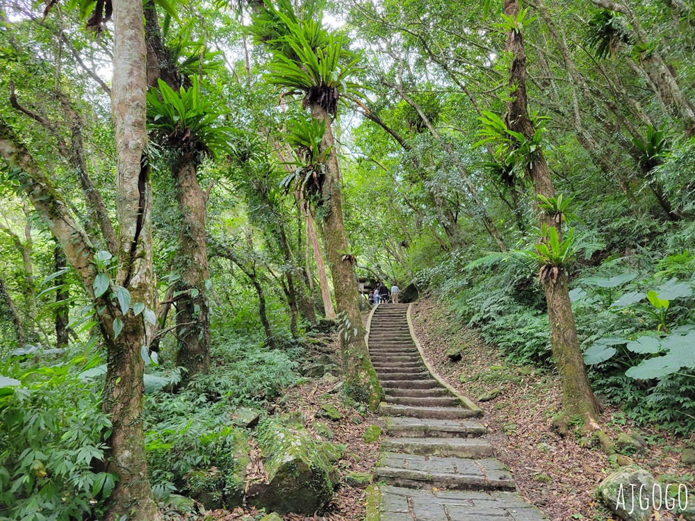 三峽景點 滿月圓國家森林遊樂區 好走的親子森林步道 沿著溪谷找大瀑布 三峽景點 滿月圓國家森林遊樂區 好走的親子森林步道 沿著溪谷找大瀑布