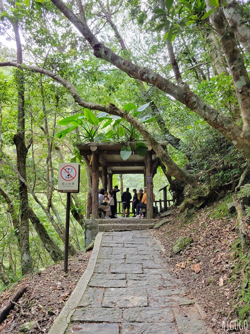 三峽景點 滿月圓國家森林遊樂區 好走的親子森林步道 沿著溪谷找大瀑布 三峽景點 滿月圓國家森林遊樂區 好走的親子森林步道 沿著溪谷找大瀑布