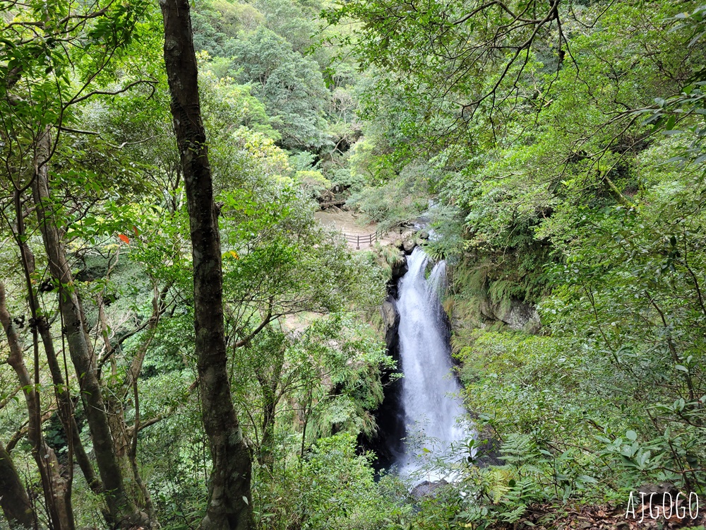 三峽景點 滿月圓國家森林遊樂區 好走的親子森林步道 沿著溪谷找大瀑布