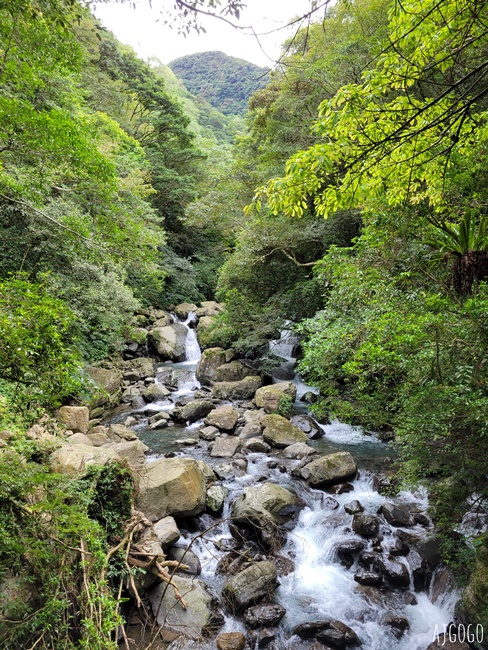 三峽景點 滿月圓國家森林遊樂區 好走的親子森林步道 沿著溪谷找大瀑布 三峽景點 滿月圓國家森林遊樂區 好走的親子森林步道 沿著溪谷找大瀑布