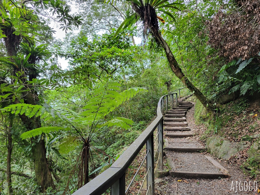 三峽景點 滿月圓國家森林遊樂區 好走的親子森林步道 沿著溪谷找大瀑布 三峽景點 滿月圓國家森林遊樂區 好走的親子森林步道 沿著溪谷找大瀑布