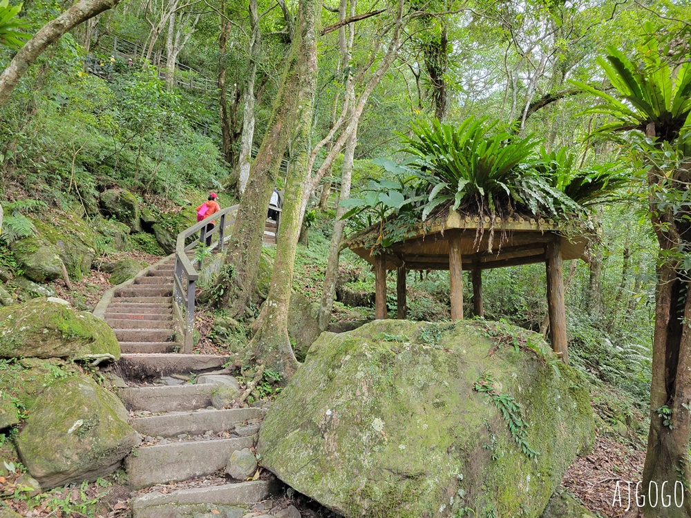 三峽景點 滿月圓國家森林遊樂區 好走的親子森林步道 沿著溪谷找大瀑布