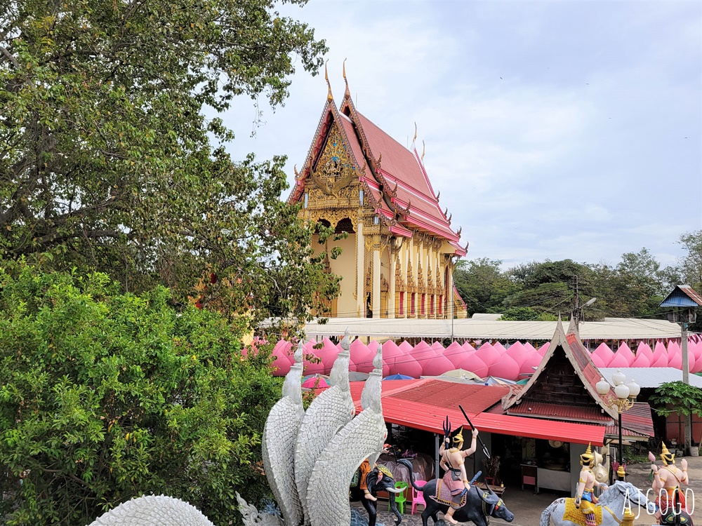 泰國旅遊 泰國最高佛像 Wat Muang 紅統廊曼寺的巨大金佛