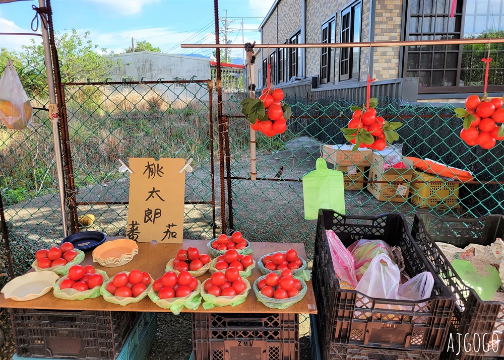 桃園美食 三坑老客棧東海堂 客家菜、阿香菜包、老街豆花 三坑老街美食