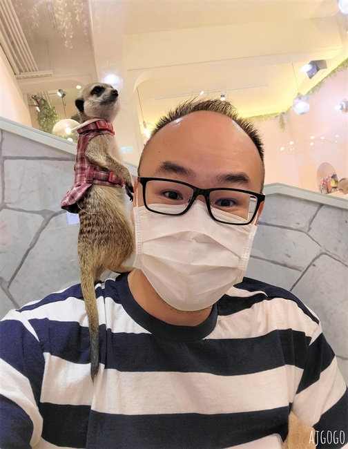 台北咖啡廳 75度獴敦南旗艦店 狐蒙動物餐廳 台北下午茶