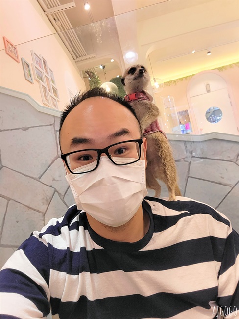 台北咖啡廳 75度獴敦南旗艦店 狐蒙動物餐廳 台北下午茶 台北咖啡廳 75度獴敦南旗艦店 狐蒙動物餐廳 台北下午茶