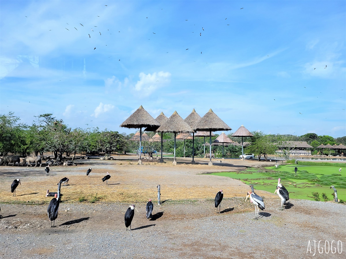 2026曼谷景點 賽福瑞野生動物園一日遊 Safari World 巴士接送、自助午餐吃到飽 @AJ的旅行地圖