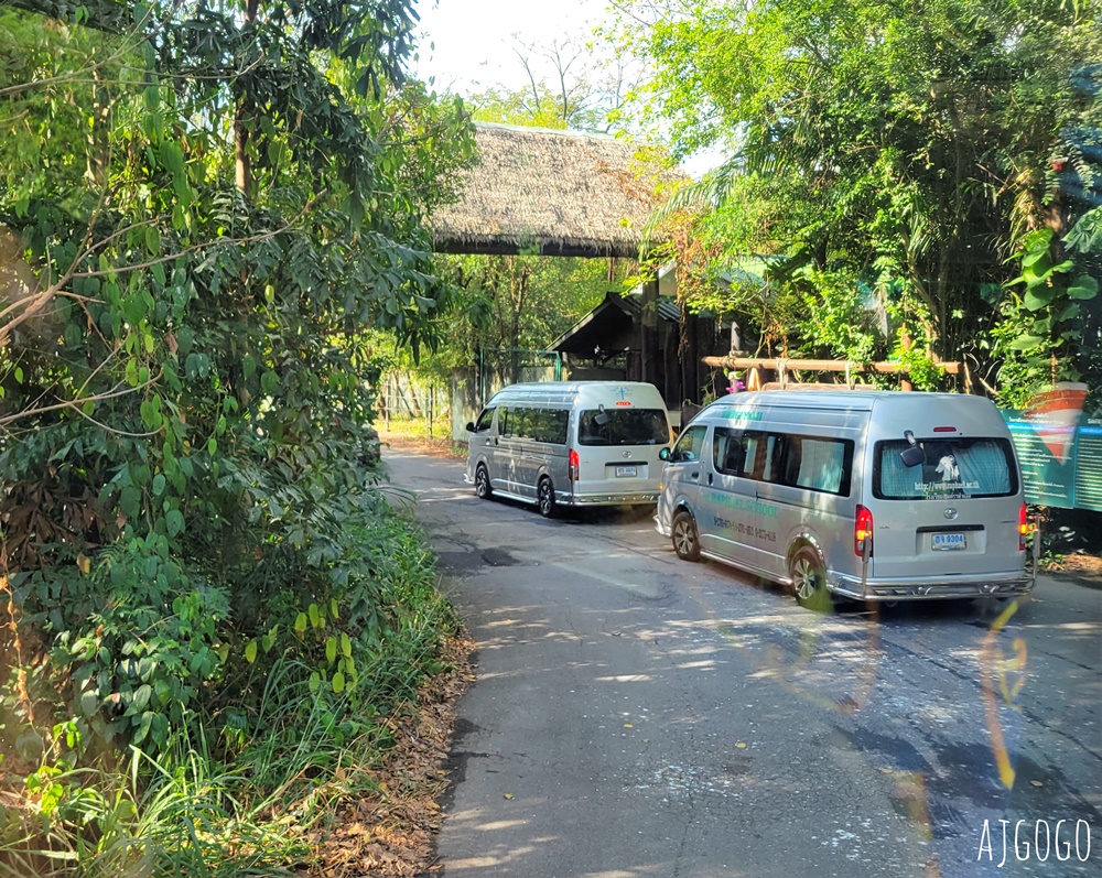 2026曼谷景點 賽福瑞野生動物園一日遊 Safari World 巴士接送、自助午餐吃到飽