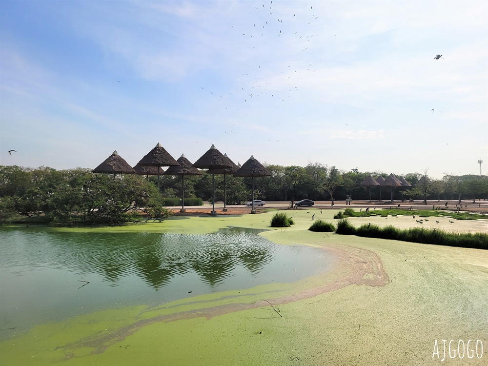 2026曼谷景點 賽福瑞野生動物園一日遊 Safari World 巴士接送、自助午餐吃到飽