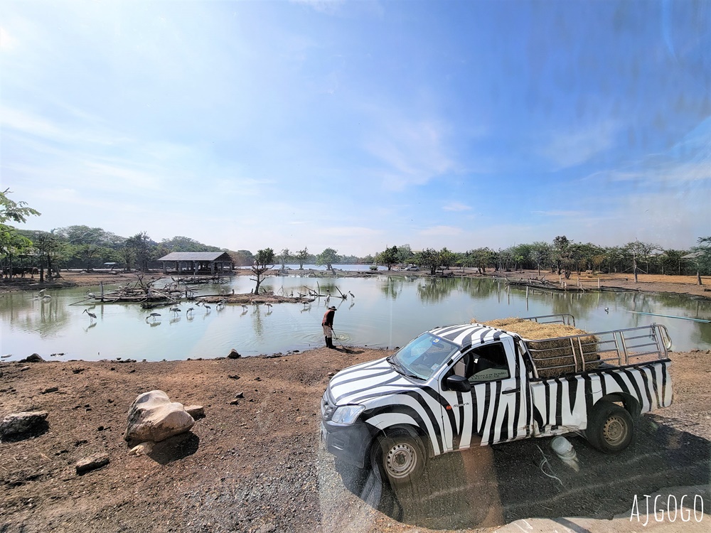 2026曼谷景點 賽福瑞野生動物園一日遊 Safari World 巴士接送、自助午餐吃到飽